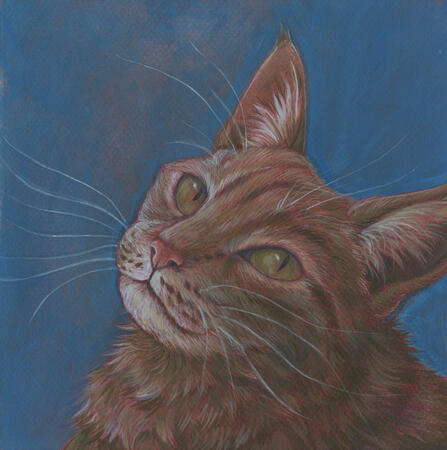 CleoCatra CleoCatra