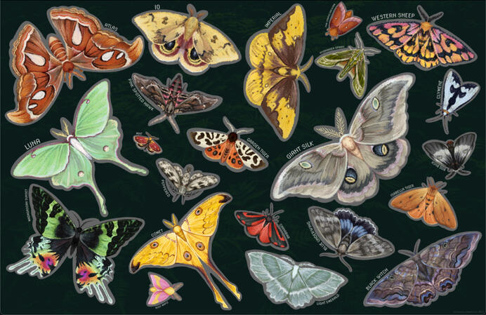 Pixel Art Moths! Pixel Art Moths!