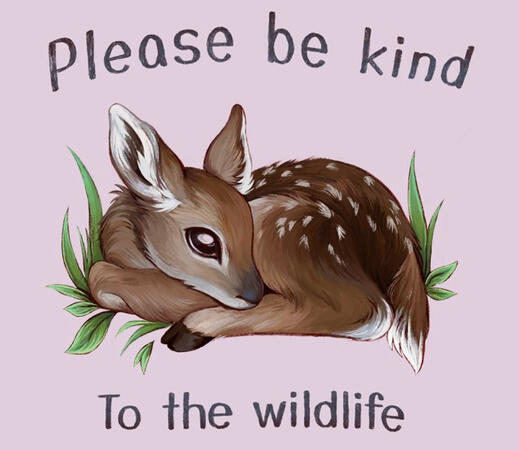 Deer Graphic